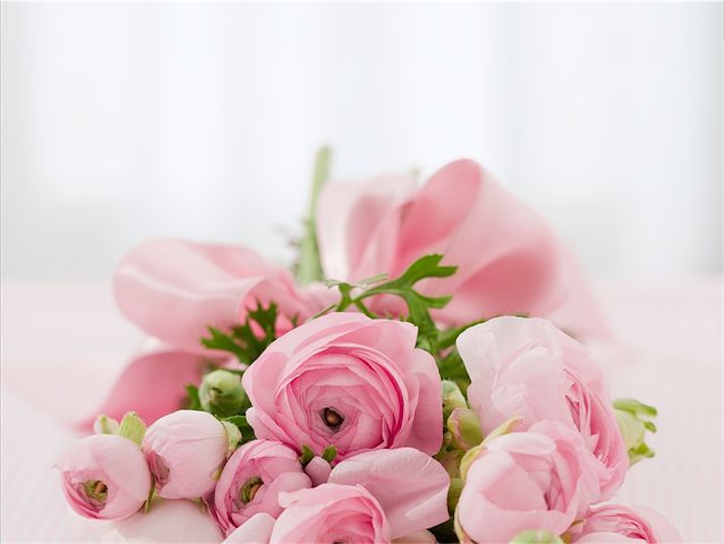 f:id:yoakenococoa:20220705131811j:image f:id:yoakenococoa:20220705131811j:image