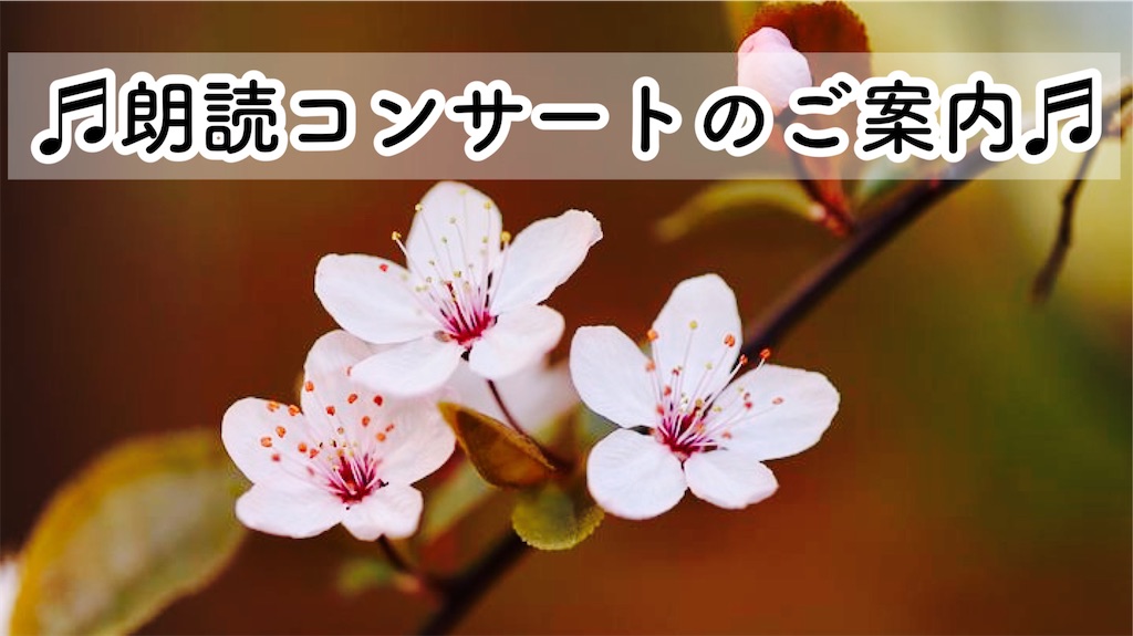f:id:yoakenococoa:20220906220820j:image
