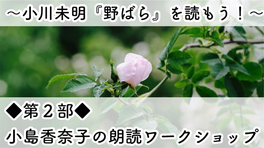 f:id:yoakenococoa:20230219110632j:image f:id:yoakenococoa:20230219110632j:image