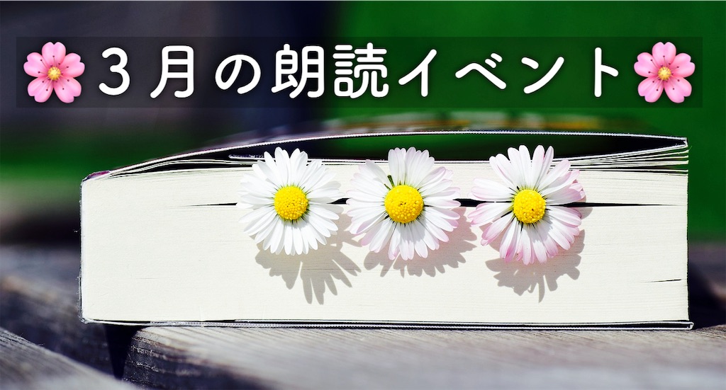 f:id:yoakenococoa:20240319191131j:image
