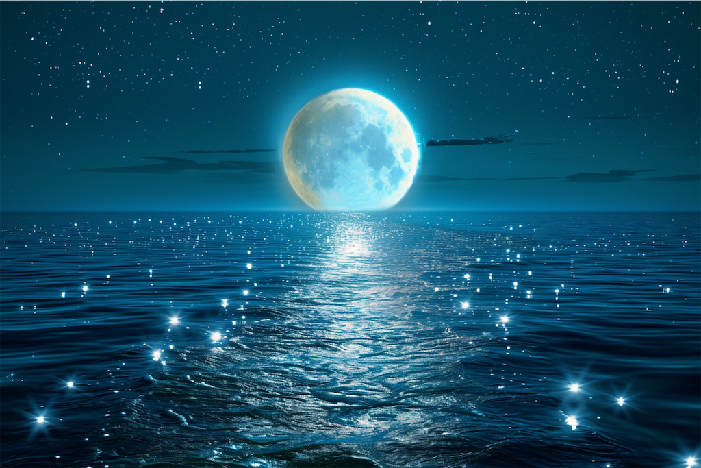 f:id:yoakenococoa:20240918154849p:image f:id:yoakenococoa:20240918154849p:image