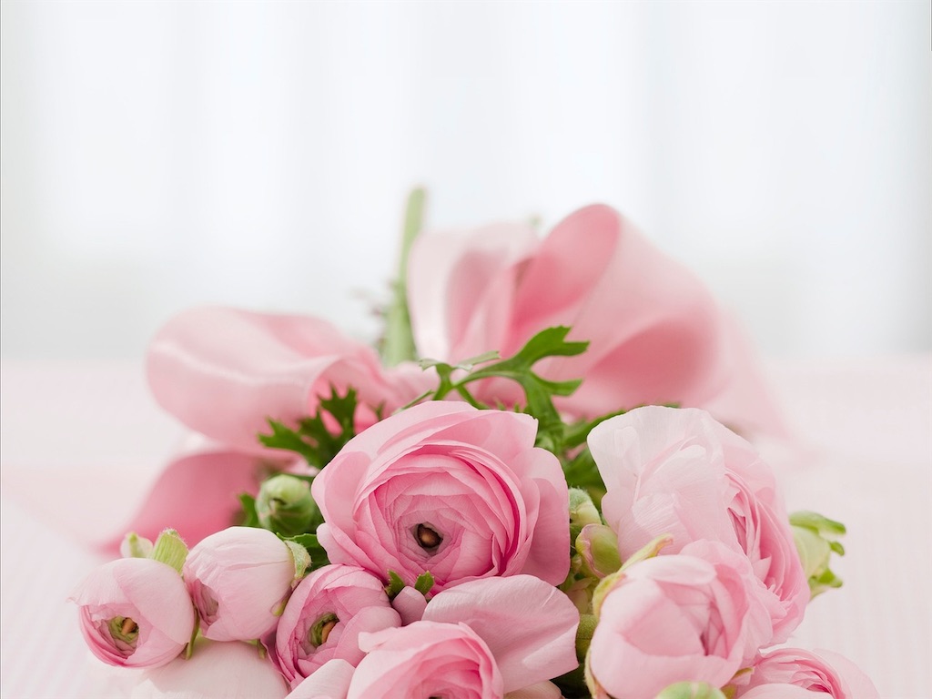 f:id:yoakenococoa:20260113221153j:image f:id:yoakenococoa:20260113221153j:image