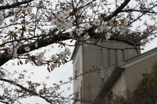f:id:yoblog:20090413115941j:image f:id:yoblog:20090413115941j:image