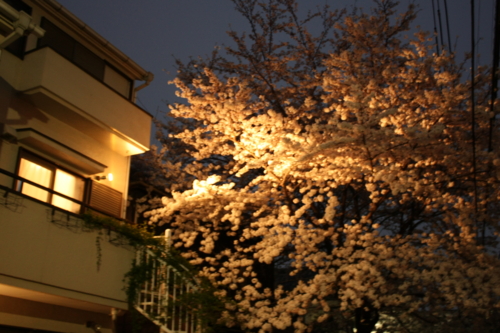 f:id:yoblog:20090413120218j:image f:id:yoblog:20090413120218j:image