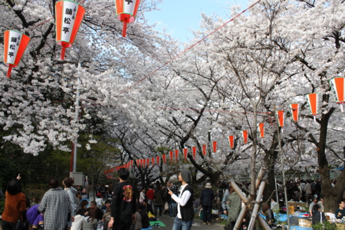 f:id:yoblog:20090413120255j:image f:id:yoblog:20090413120255j:image