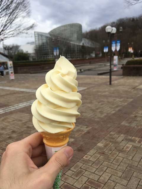 f:id:yocchan20:20170116200049j:plain