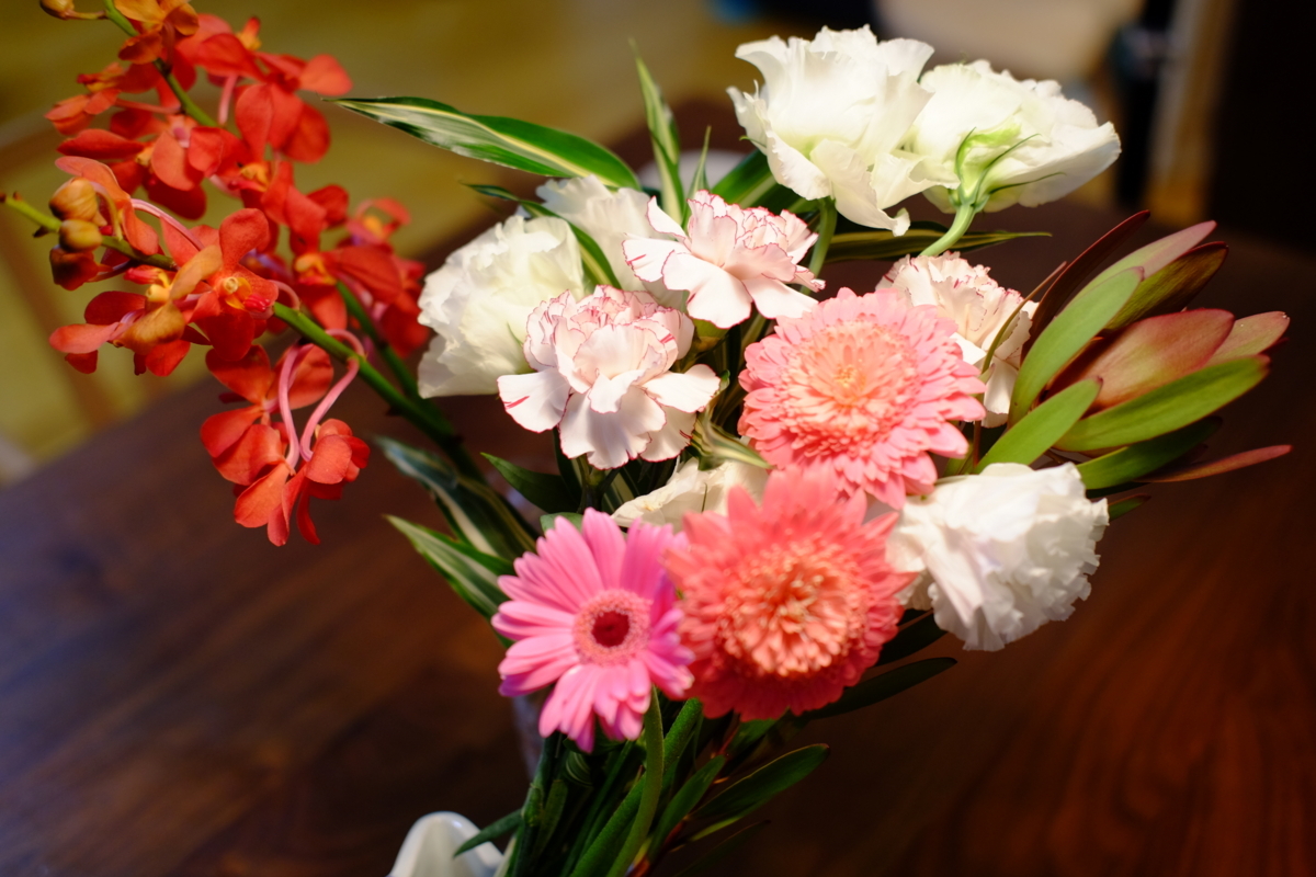 f:id:yocchi_gogo:20171016002228j:plain