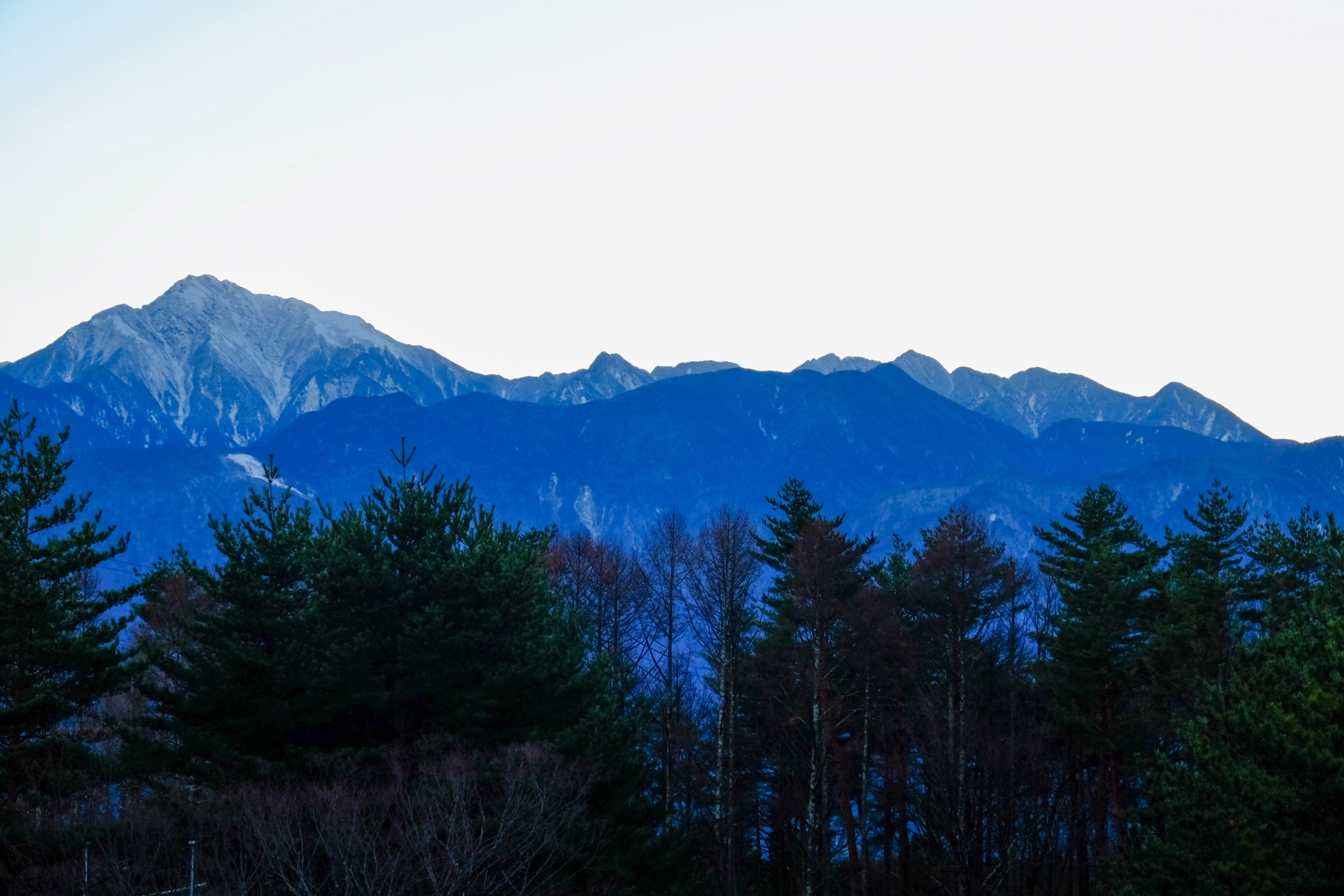 f:id:yocchi_gogo:20190105174531j:image