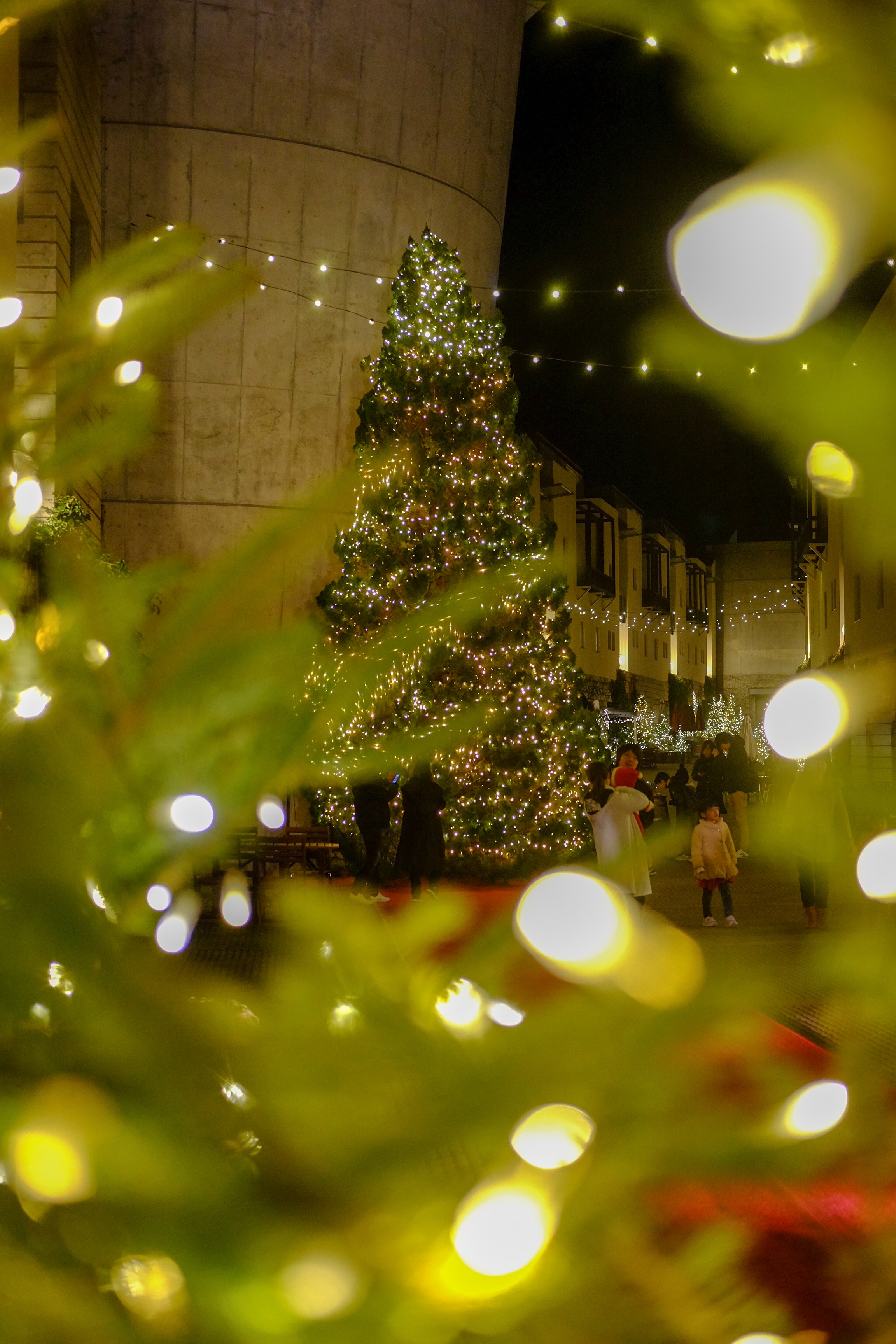 f:id:yocchi_gogo:20190105174539j:image