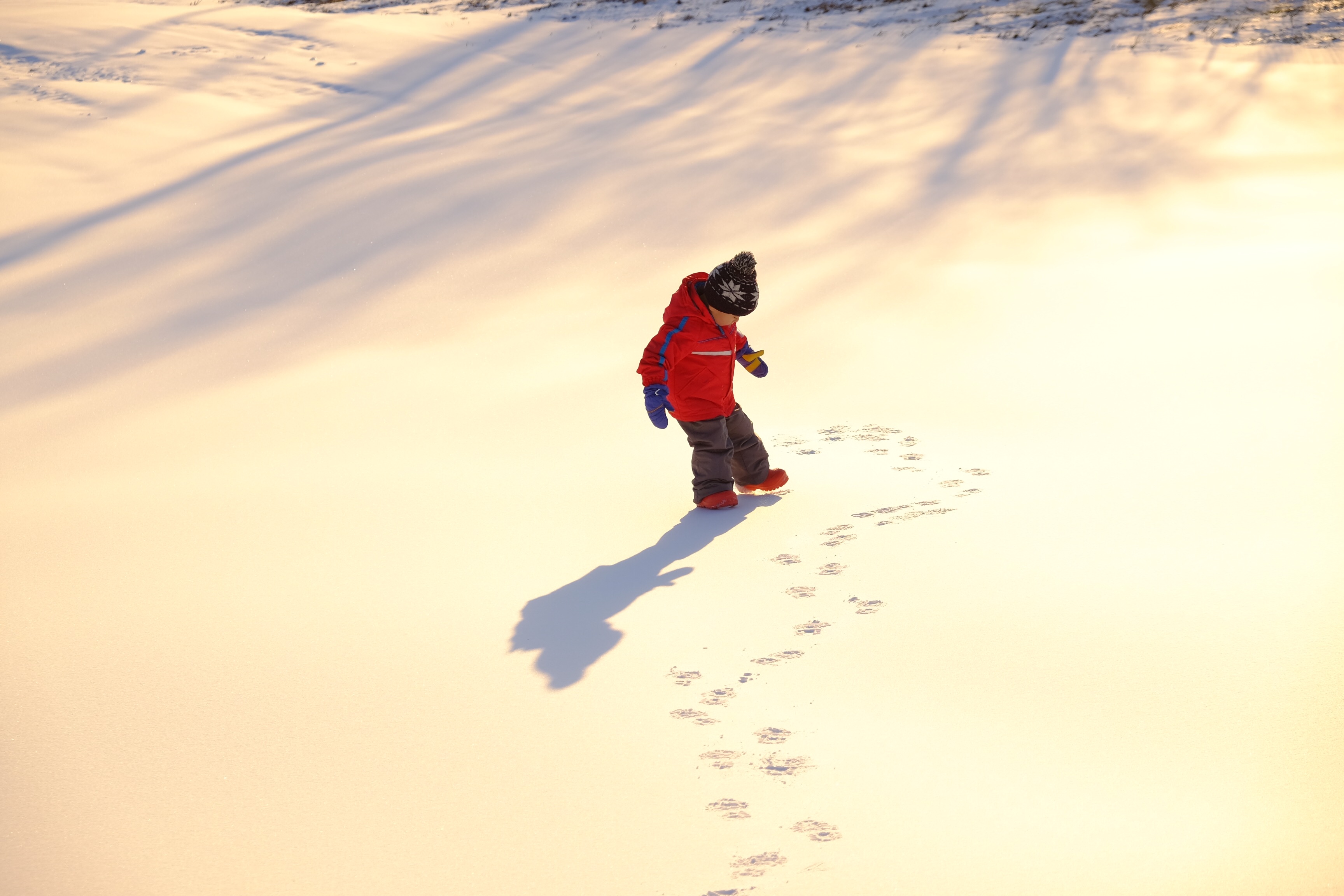 f:id:yocchi_gogo:20190105175402j:image