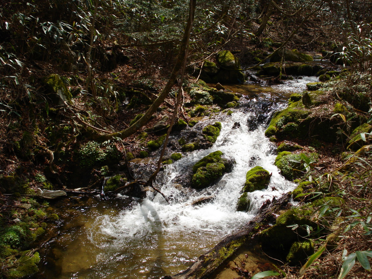 f:id:yoch:20100430095610j:image:w480 f:id:yoch:20100430095610j:image:w480