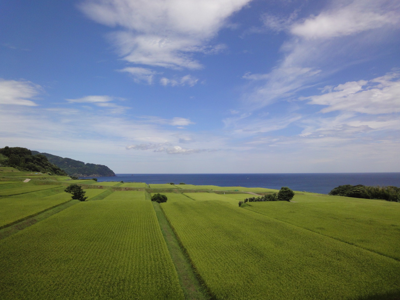 f:id:yoch:20120815111632j:image:w480 f:id:yoch:20120815111632j:image:w480