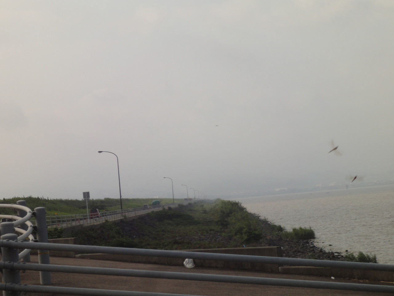 f:id:yoch:20150729075918j:image:w320