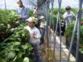 20100523231424