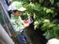 20100523231458