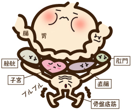 f:id:yochapocha:20170209185310j:plain:w300