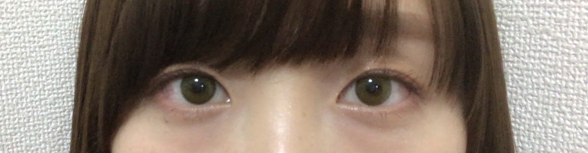 f:id:yochirish:20210314113411j:plain