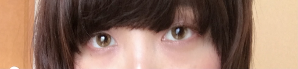 f:id:yochirish:20210314120115j:plain