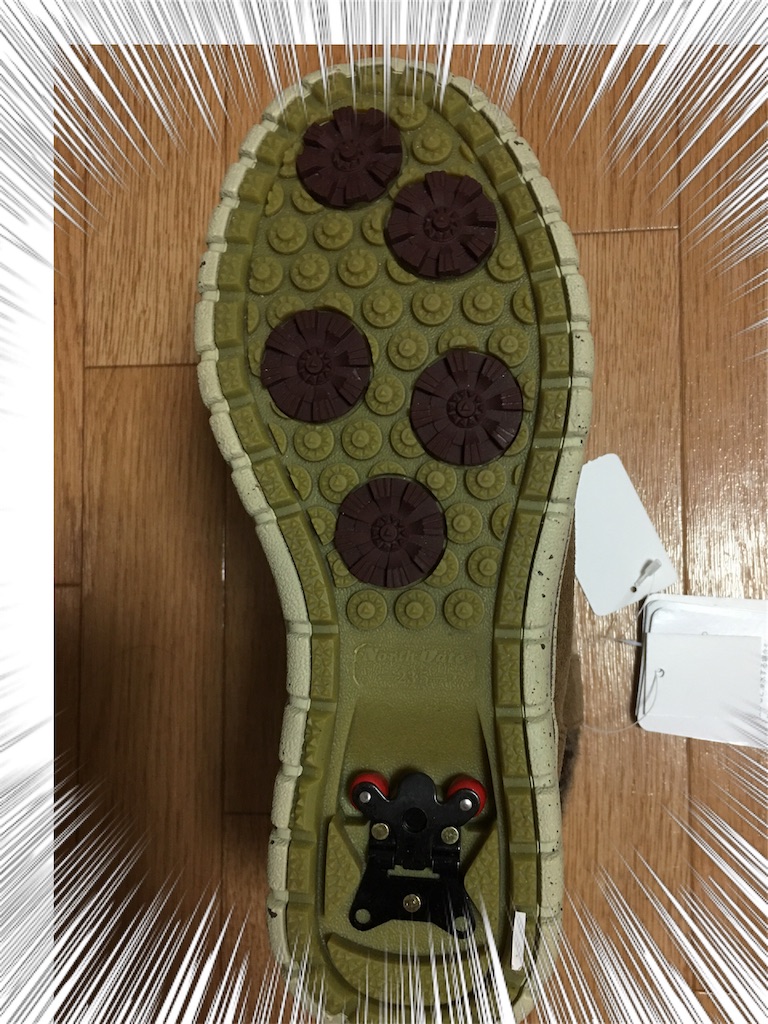 f:id:yochirorin:20191111233241j:image