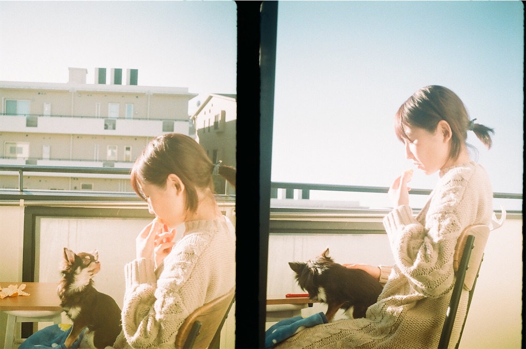 f:id:yoco_0531:20210902163106j:image f:id:yoco_0531:20210902163106j:image