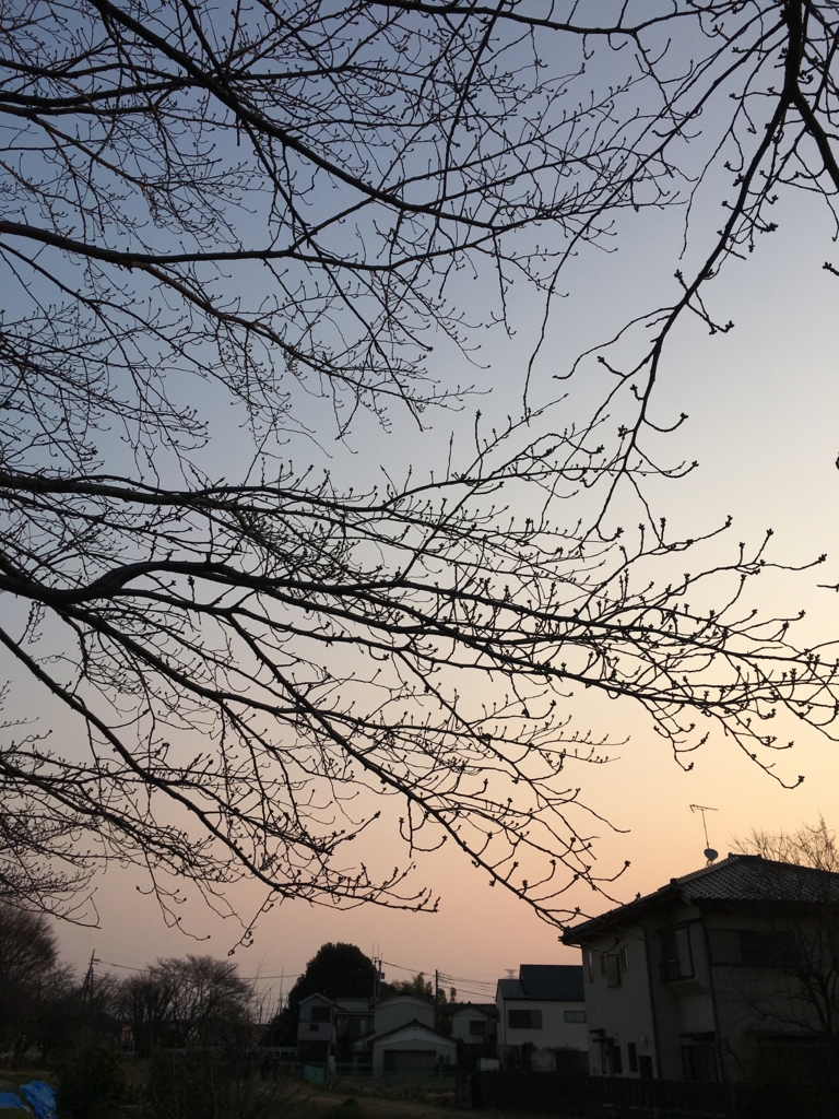 f:id:yodamyu:20170319095746j:plain