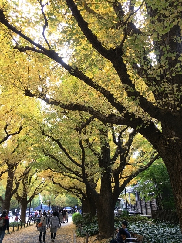 f:id:yodamyu:20171105203818j:plain