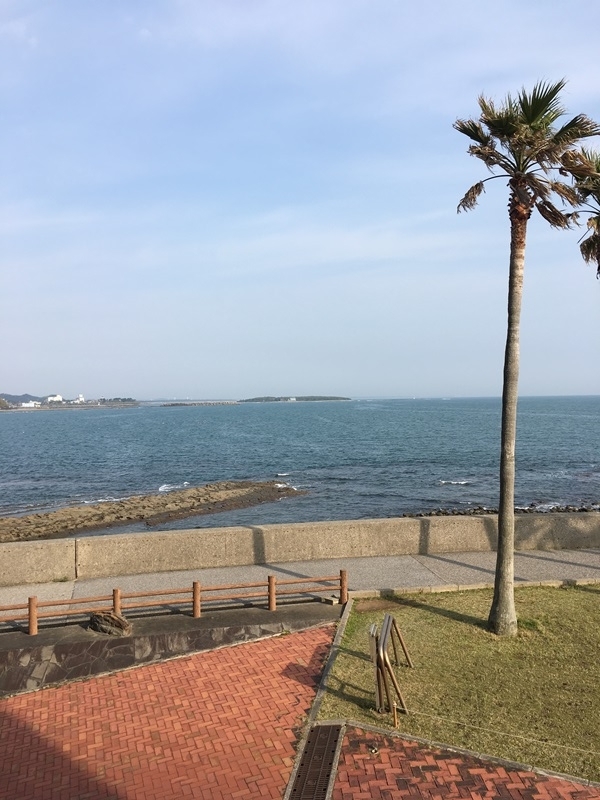 f:id:yodamyu:20180401075641j:plain f:id:yodamyu:20180401075641j:plain