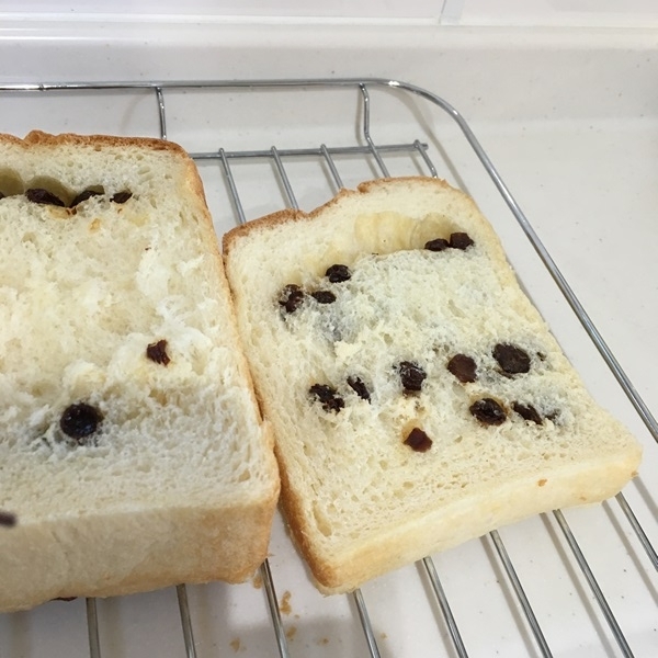 f:id:yodamyu:20180429200334j:plain