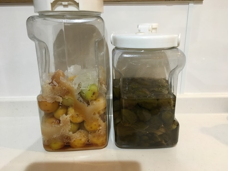 f:id:yodamyu:20180617222555j:plain f:id:yodamyu:20180617222555j:plain