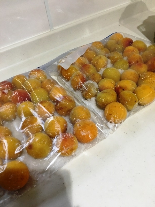 f:id:yodamyu:20180617223713j:plain f:id:yodamyu:20180617223713j:plain