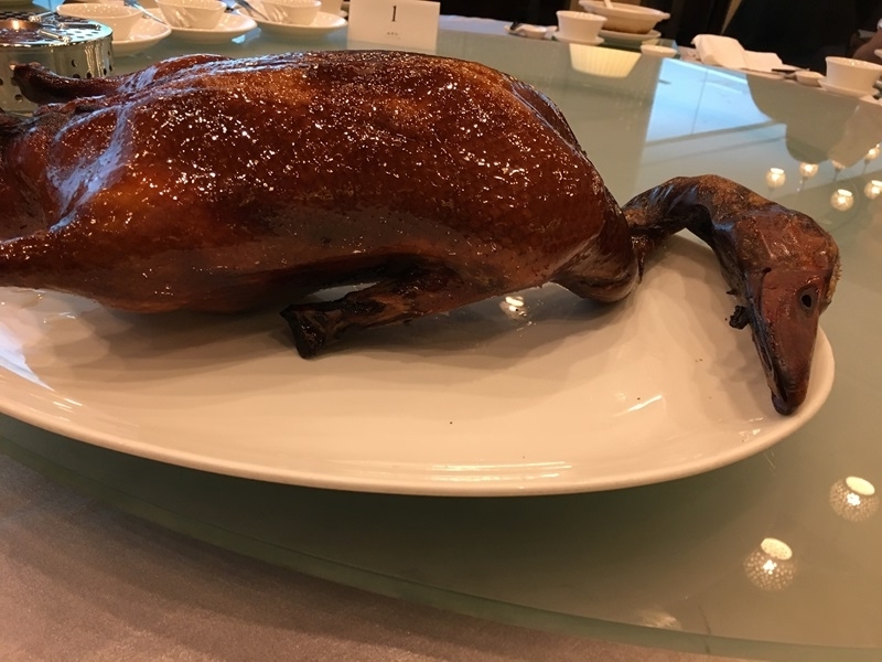 f:id:yodamyu:20181012025630j:plain