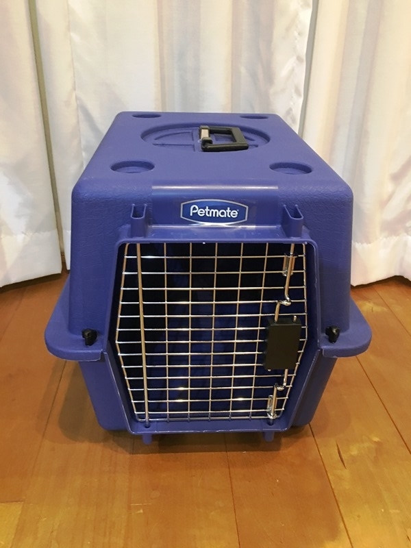 f:id:yodamyu:20181220222113j:plain