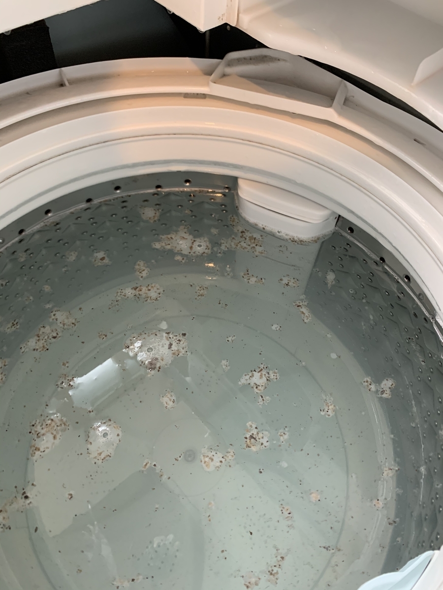 f:id:yodamyu:20210603223911j:plain