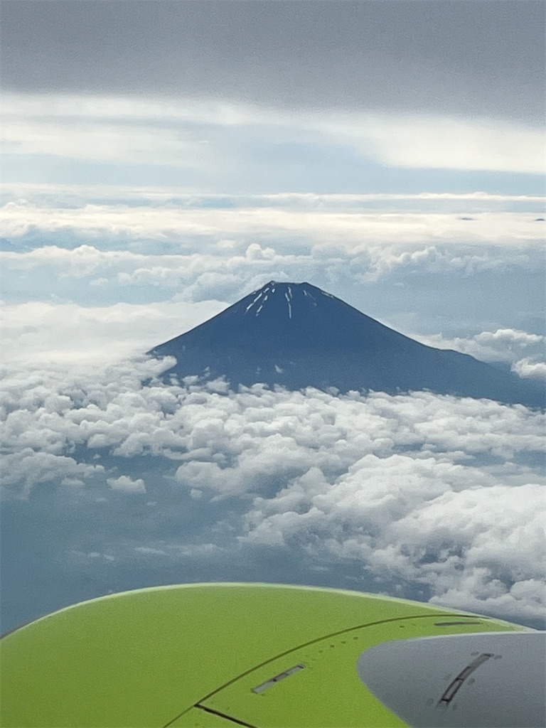 f:id:yodamyu:20230817124755j:image f:id:yodamyu:20230817124755j:image