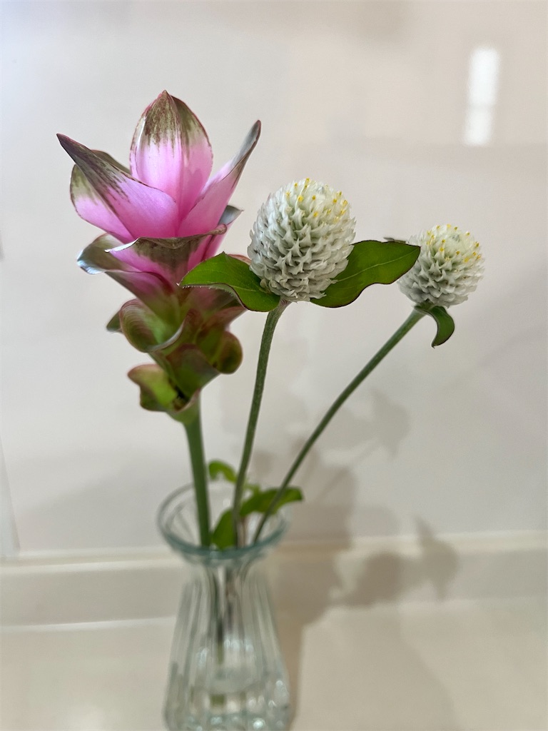 f:id:yodamyu:20230820113013j:image