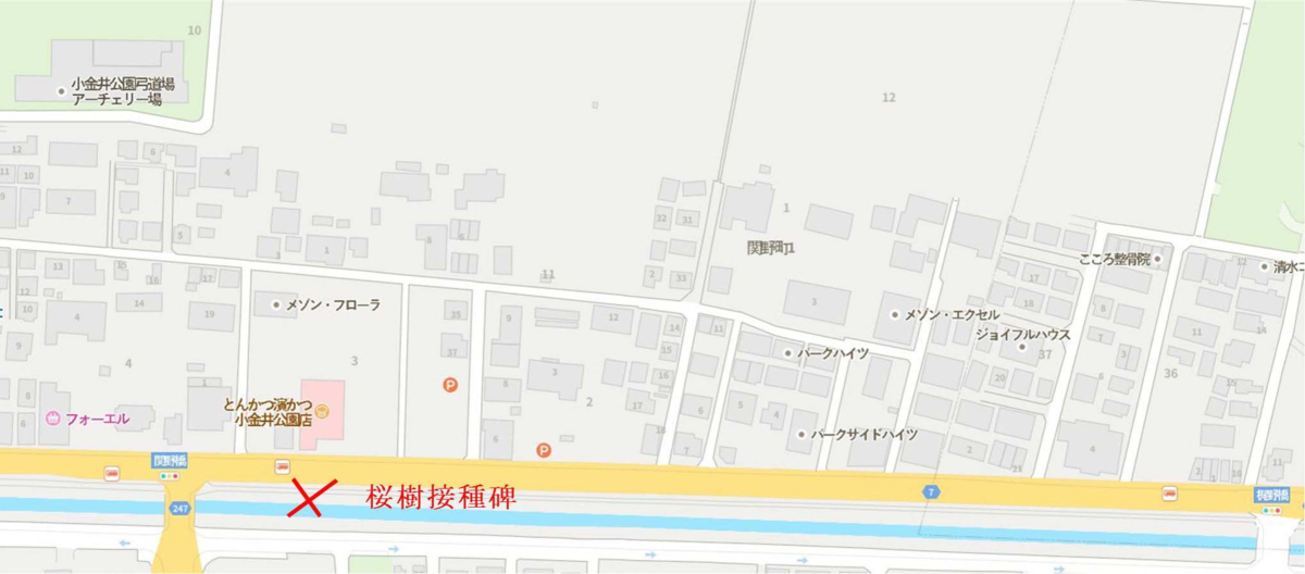 f:id:yodosan80:20201031094636p:plain f:id:yodosan80:20201031094636p:plain