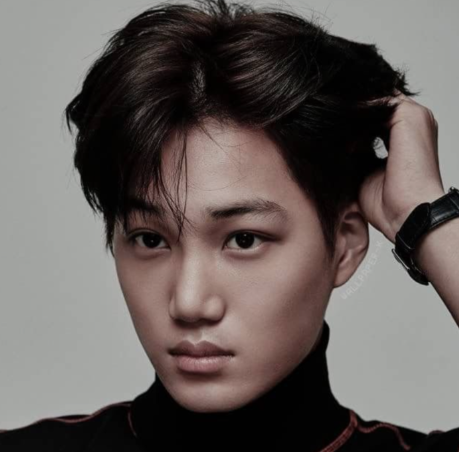 ふんわりとしたそらさま専用！　EXO　カイド　ギョンス　カイ　フォトブック backend=imagemagick;version=1;
