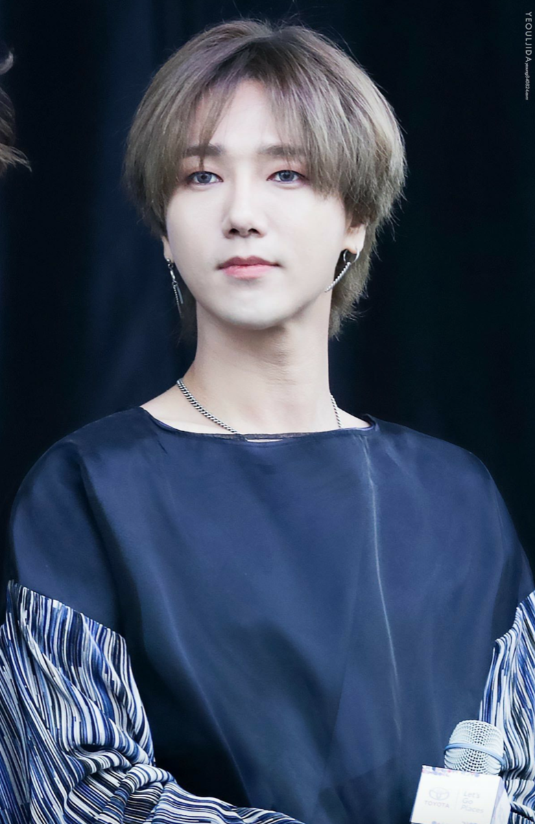 f:id:yofukashi_chocolate:20190829112007p:plain f:id:yofukashi_chocolate:20190829112007p:plain