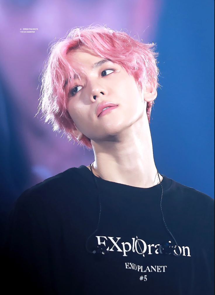 EXO Exploration特典 ベッキョン BAEKHYUN (ベクヒョン/EXO) 韓国5枚目のミニアルバム『Essence