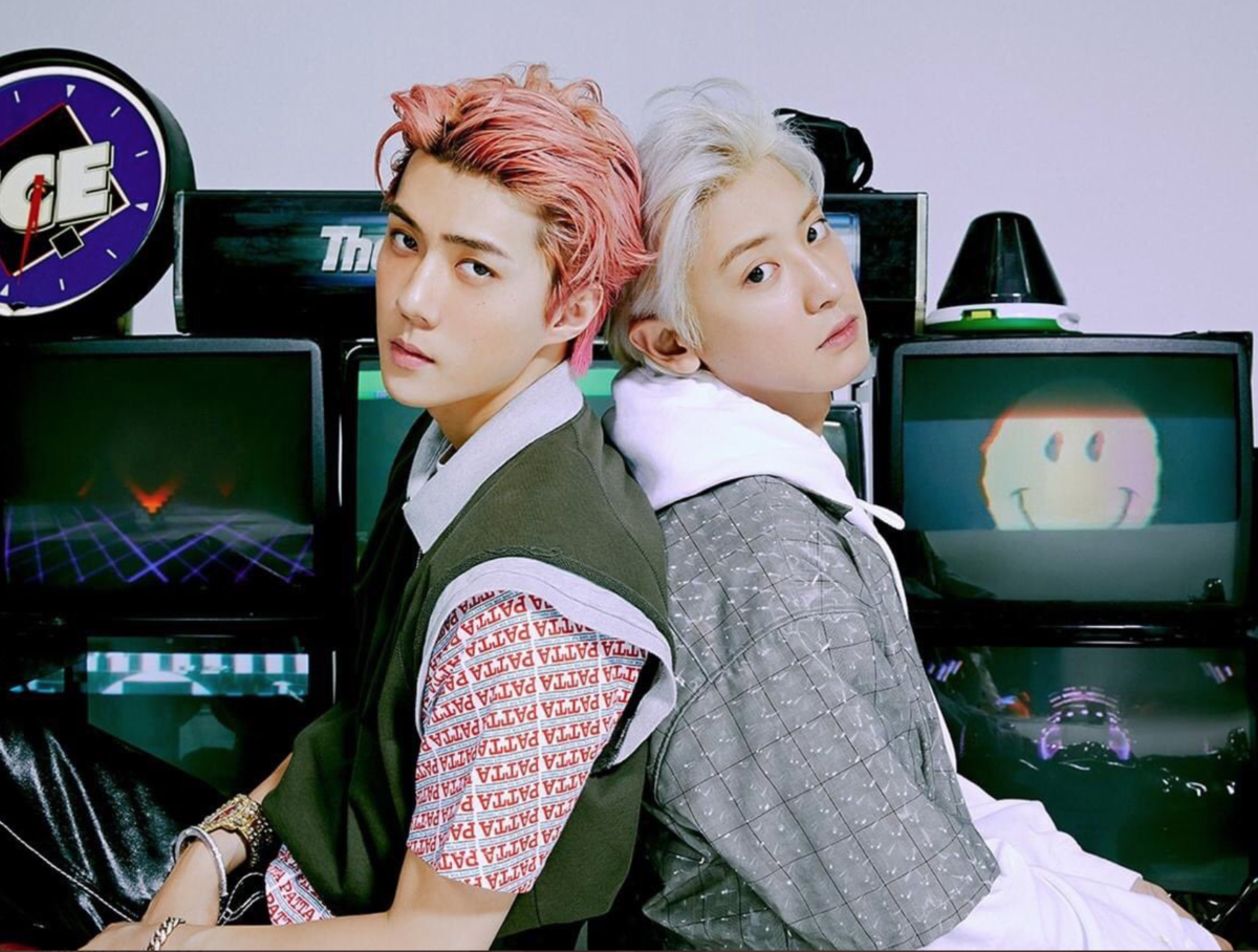 セフンとチャニョル、特別なチャンネル【EXO-SC】【1 Billion