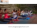 200 Hour Yoga Teacher Training in Rishikesh, India