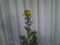 20120123213051