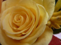 20121217223514