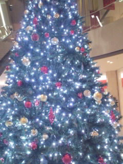 f:id:yogablackbird:20121223215813j:image
