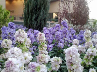 f:id:yogablackbird:20130222224620j:image