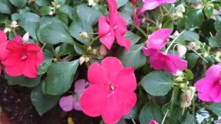 f:id:yogablackbird:20140615211029j:image