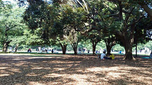 f:id:yogablackbird:20140615211034j:image