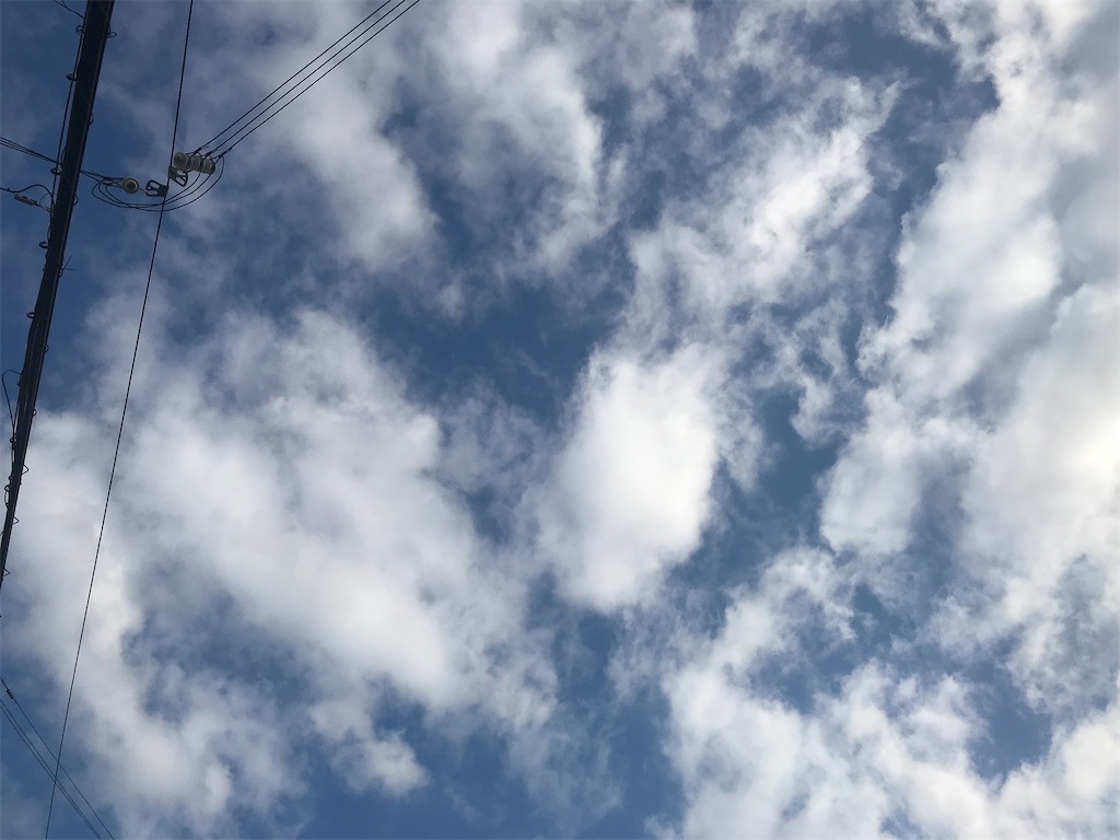 f:id:yogaho:20210314140548j:image
