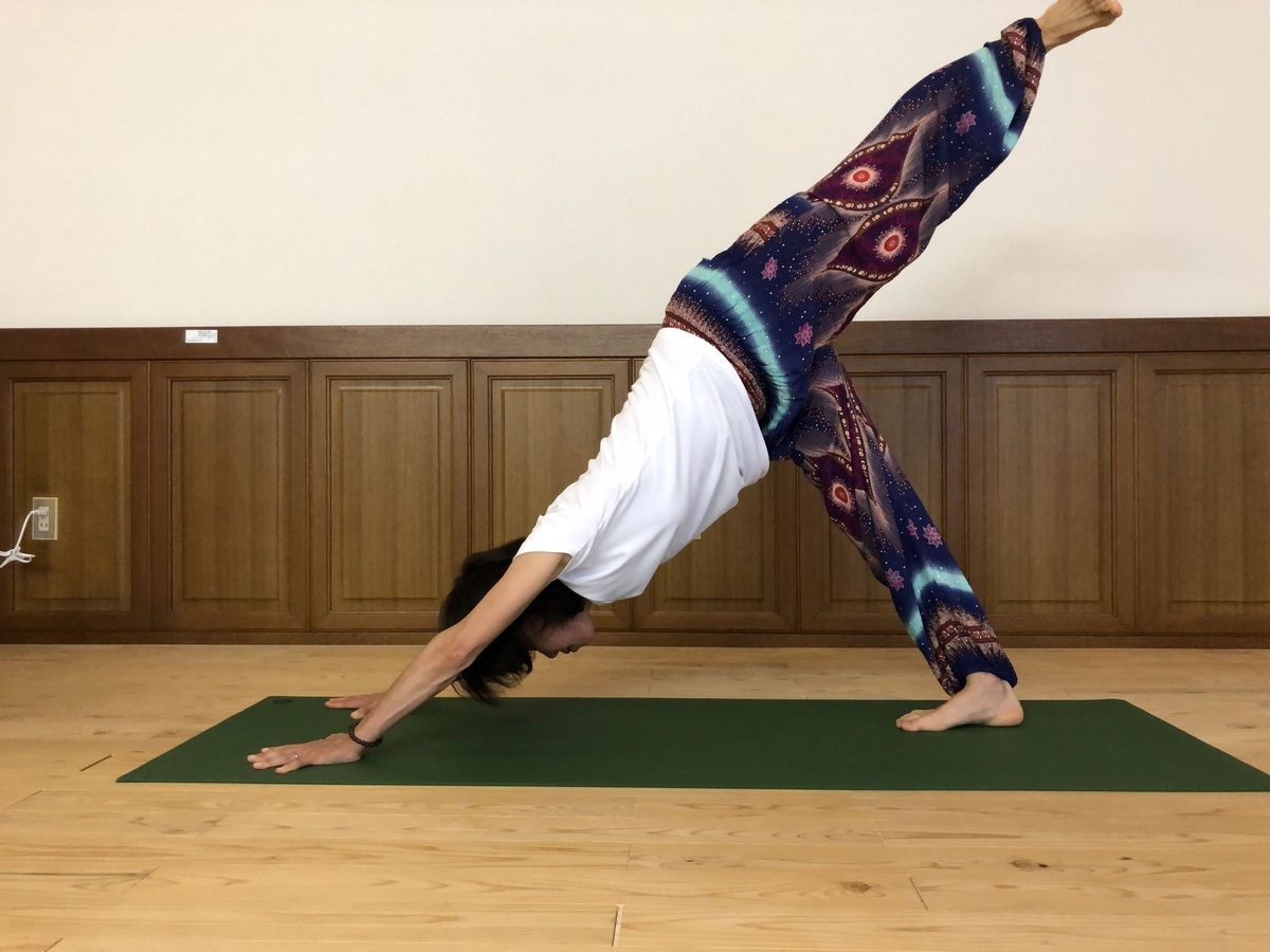 f:id:yogalifeforeveryone:20200702082135j:plain f:id:yogalifeforeveryone:20200702082135j:plain