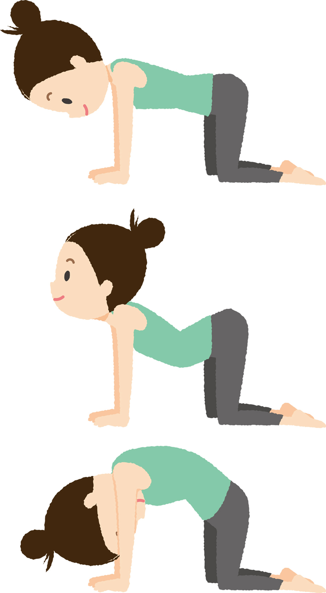 f:id:yogalifeforeveryone:20200730102243j:plain f:id:yogalifeforeveryone:20200730102243j:plain